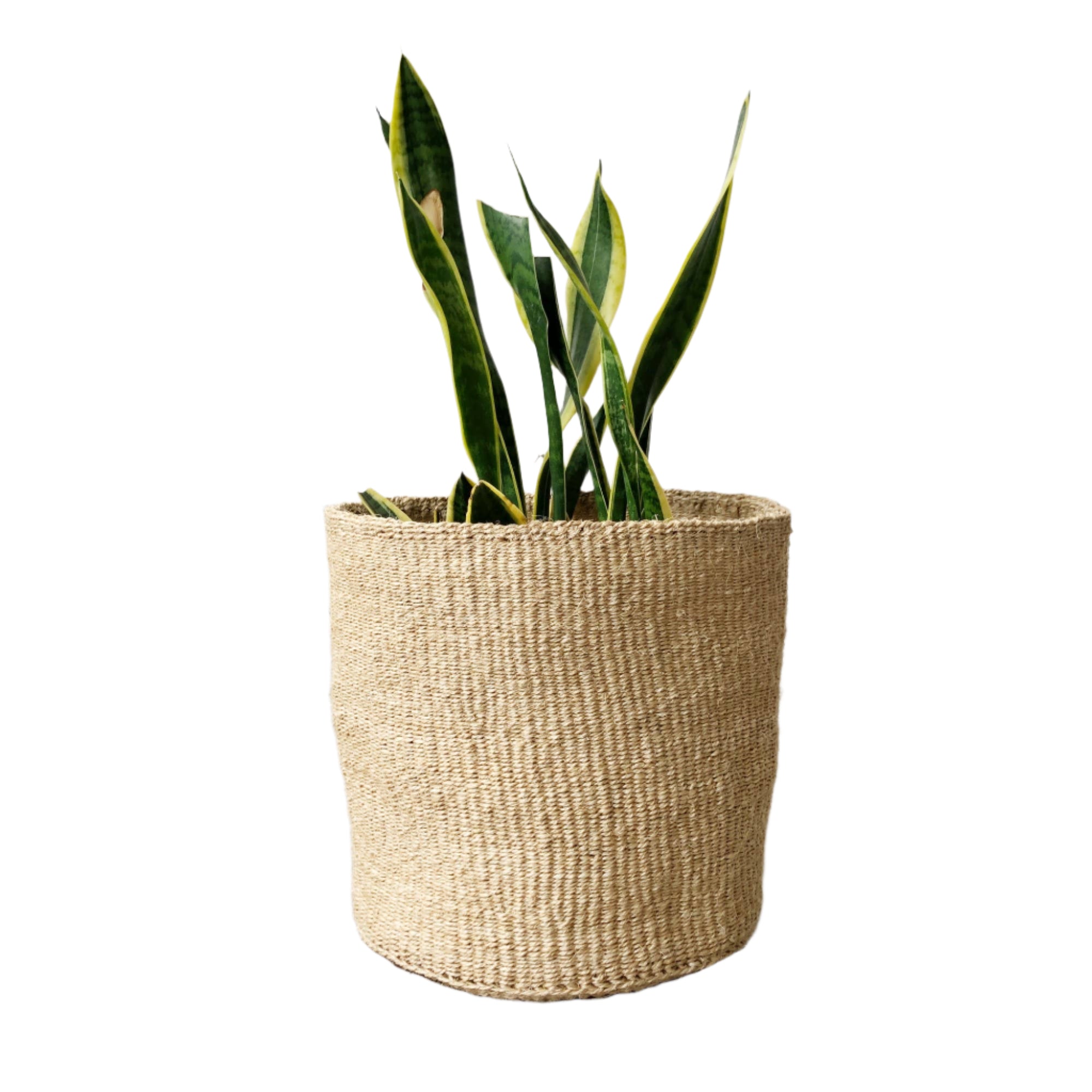 Medium handwoven sisal basket in khaki beige, versatile for plants, storage, or natural home decor.