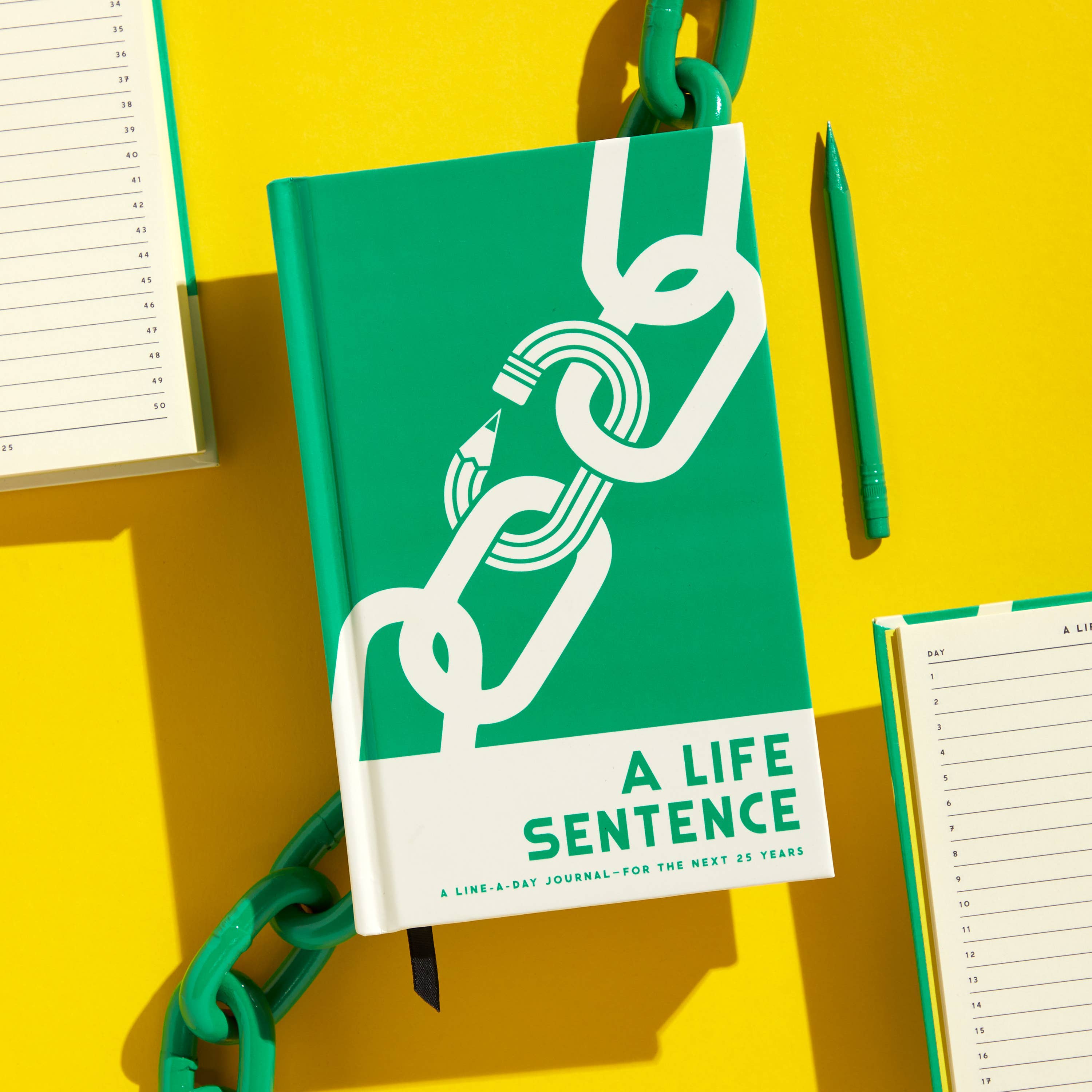 A Life Sentence Journal