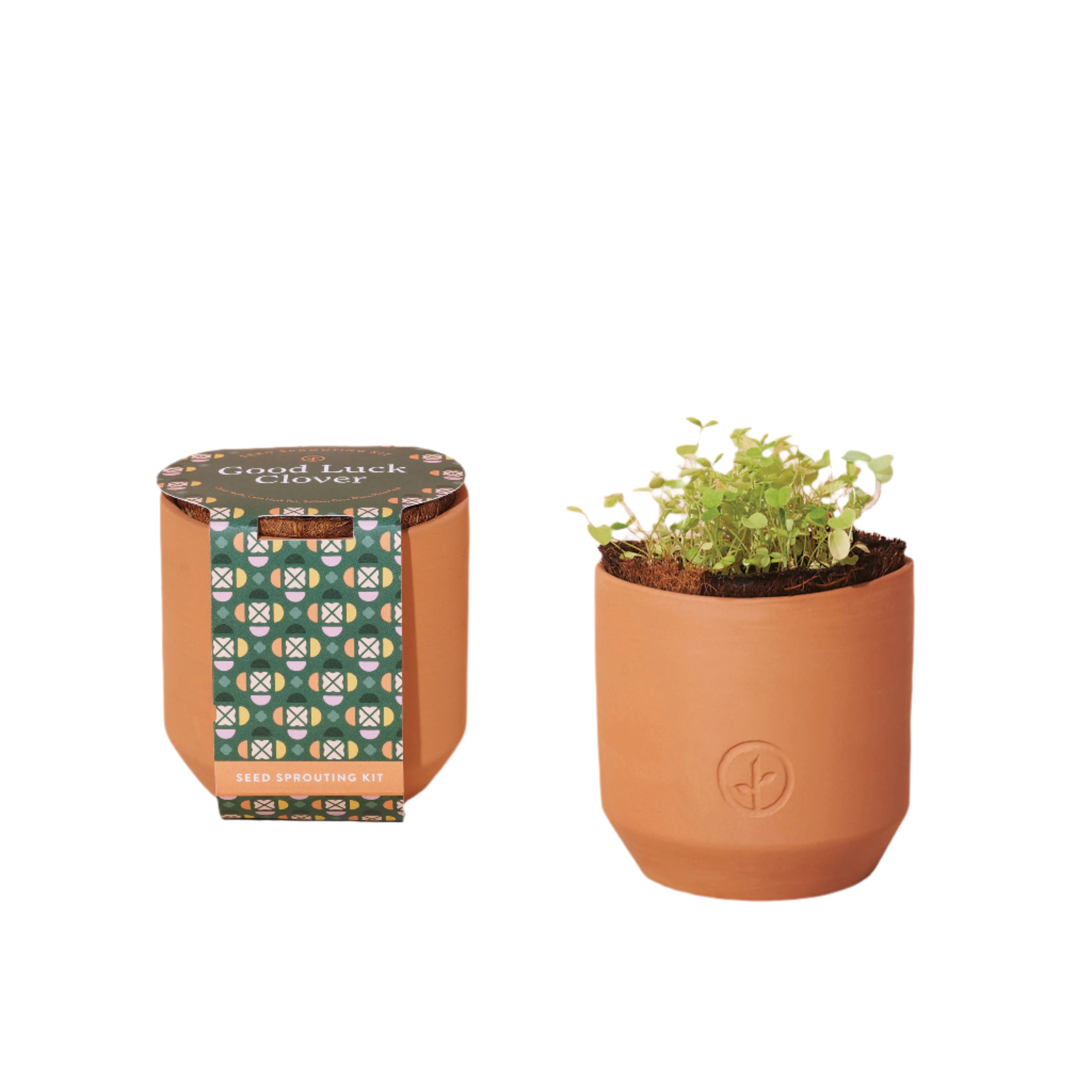 Mini terracotta grow kit with reusable pot and clover seeds, includes everything needed to start growing—just add water and sun! Perfect gift for a beginner gardener!