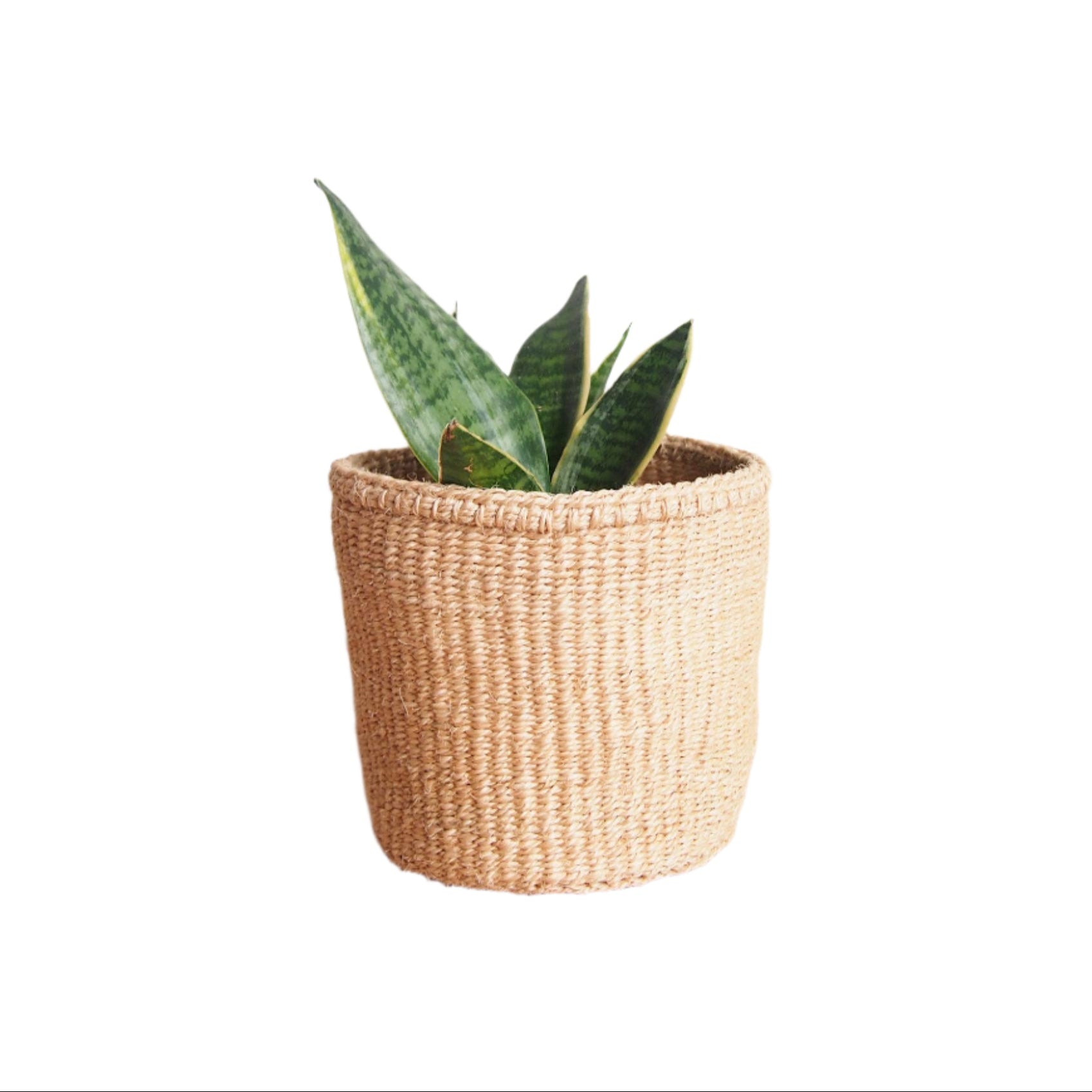 Handwoven Kenyan sisal basket, extra small, neutral oat color, ideal for plants, bathroom storage, or decor.