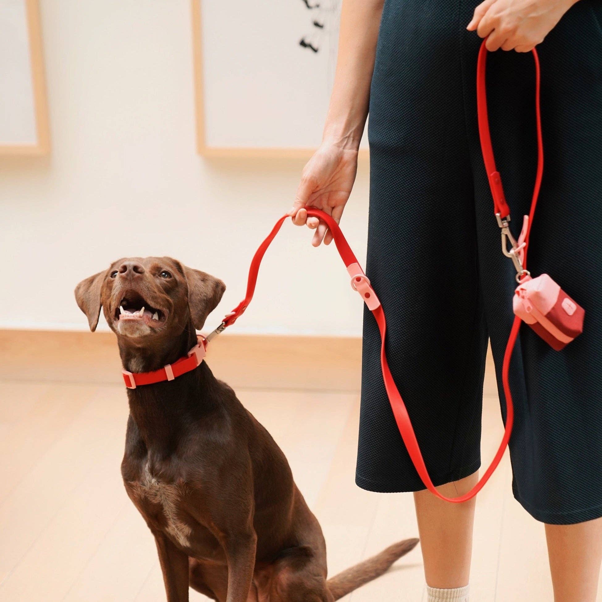 Cherry + Blush Dog Collar