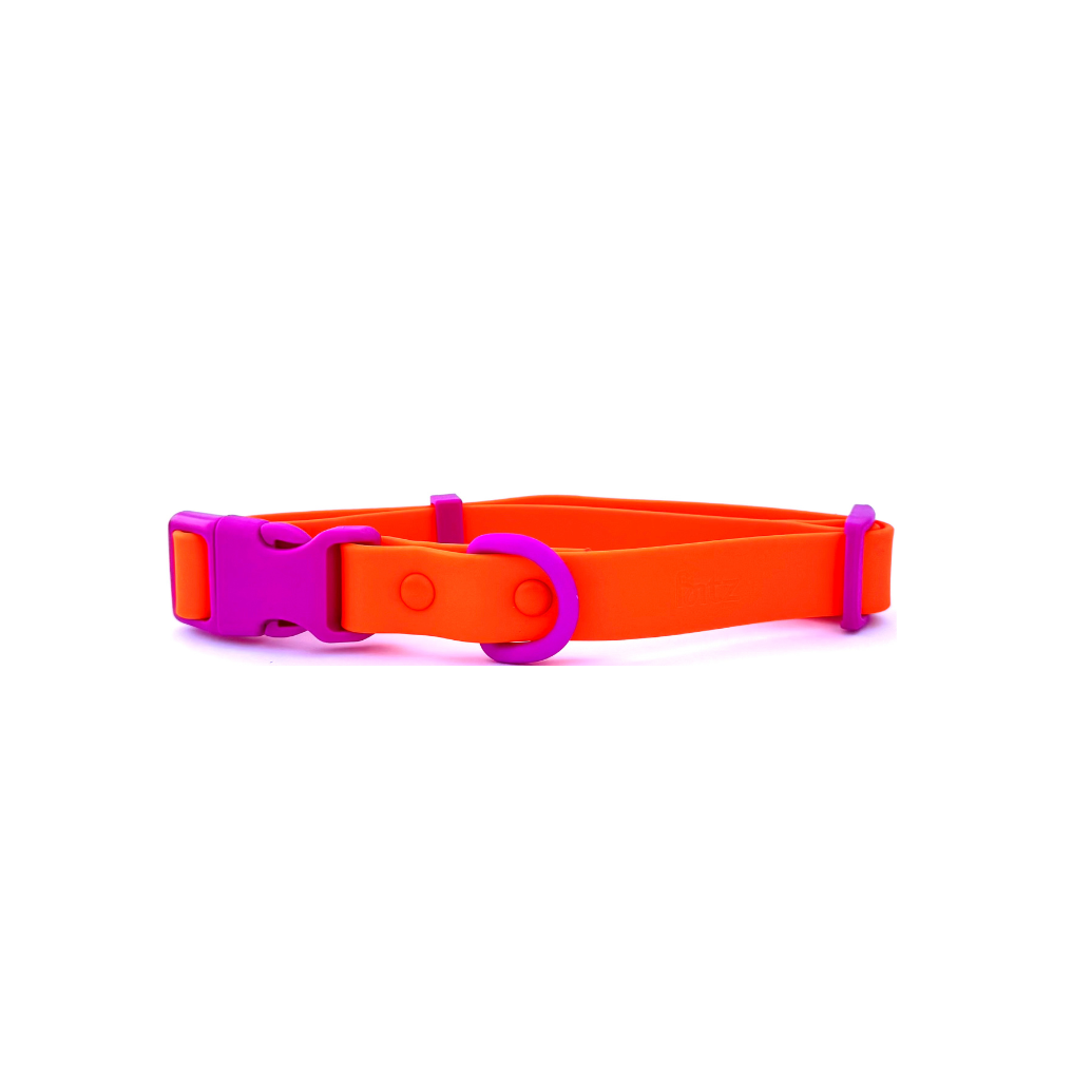 Sunset Violet Dog Collar