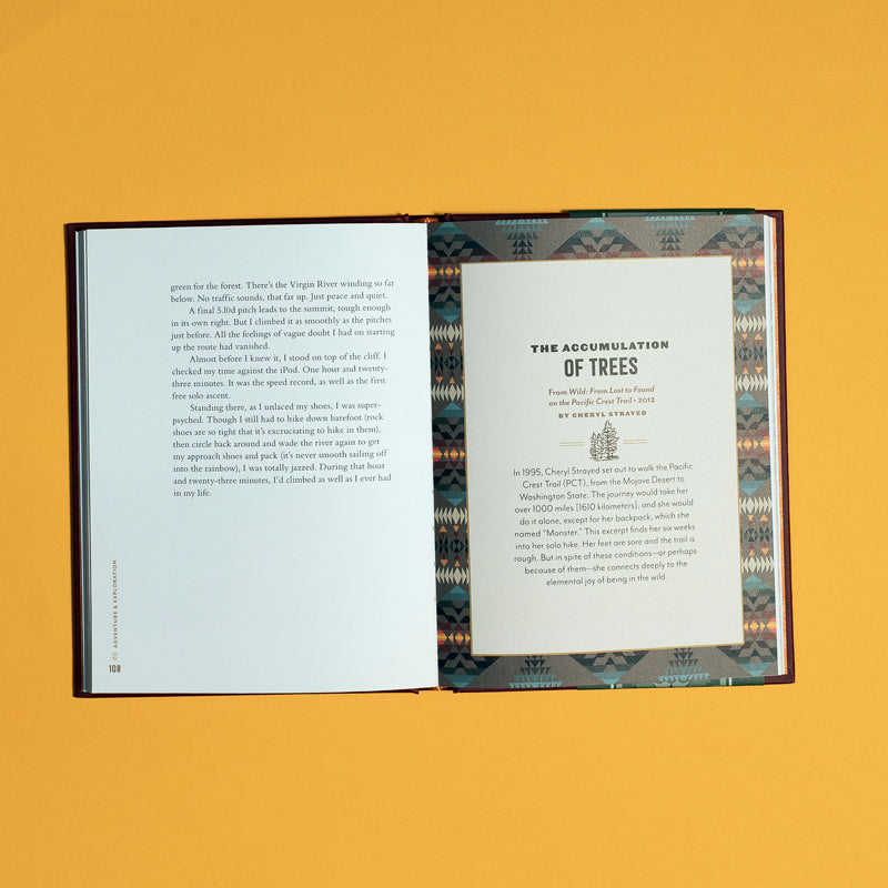 Open pages of exciting adventure book of family-friendly campfire stories