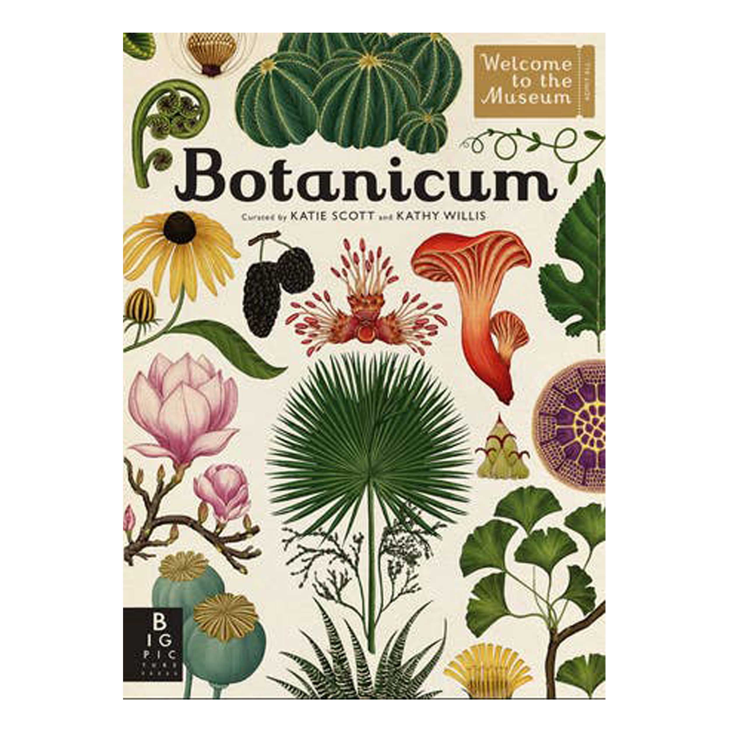 Botanicum book an illustrated guide to plant life from perennials to tropical species.