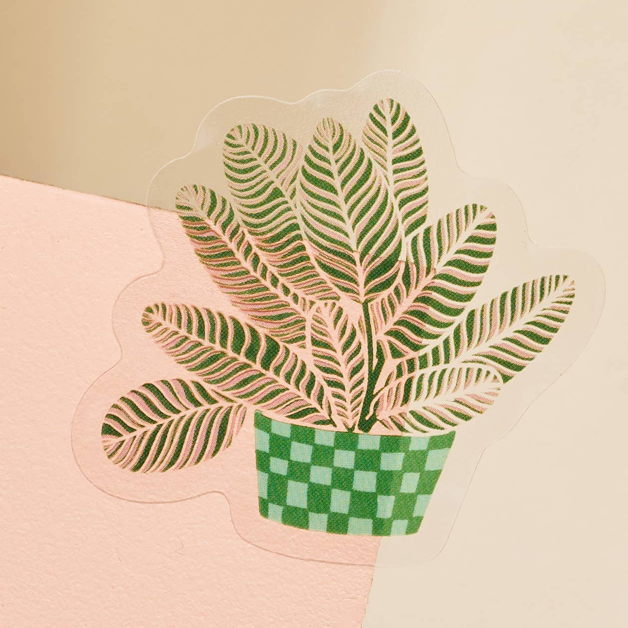 2 inch decorative transparent sticker with the illustration of a Calathea plant.