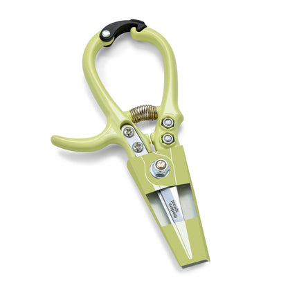 Chartreuse Garden Shears