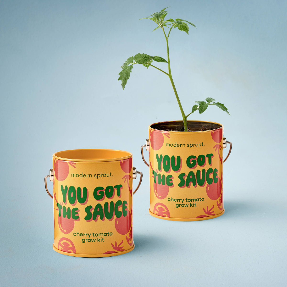 Two cherry tomato grow kit cans with a plant on a light blue background