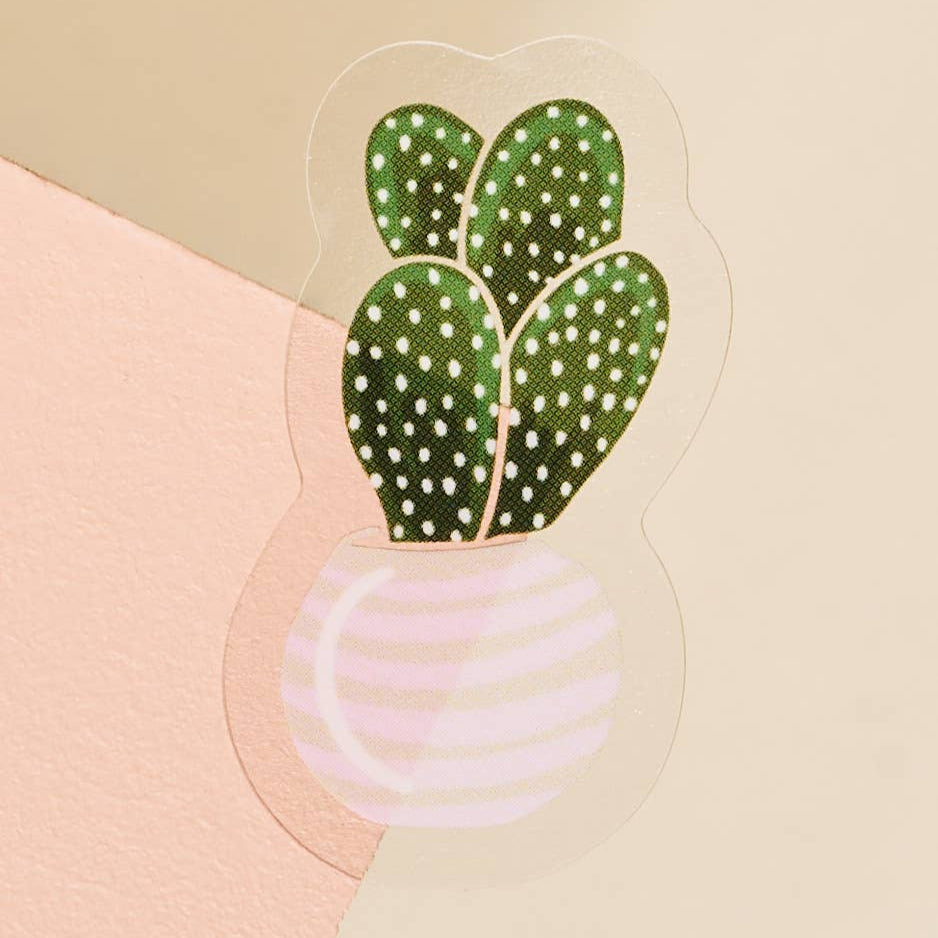 2 inch decorative transparent sticker with the illustration of a cactus mini succulent plant. 