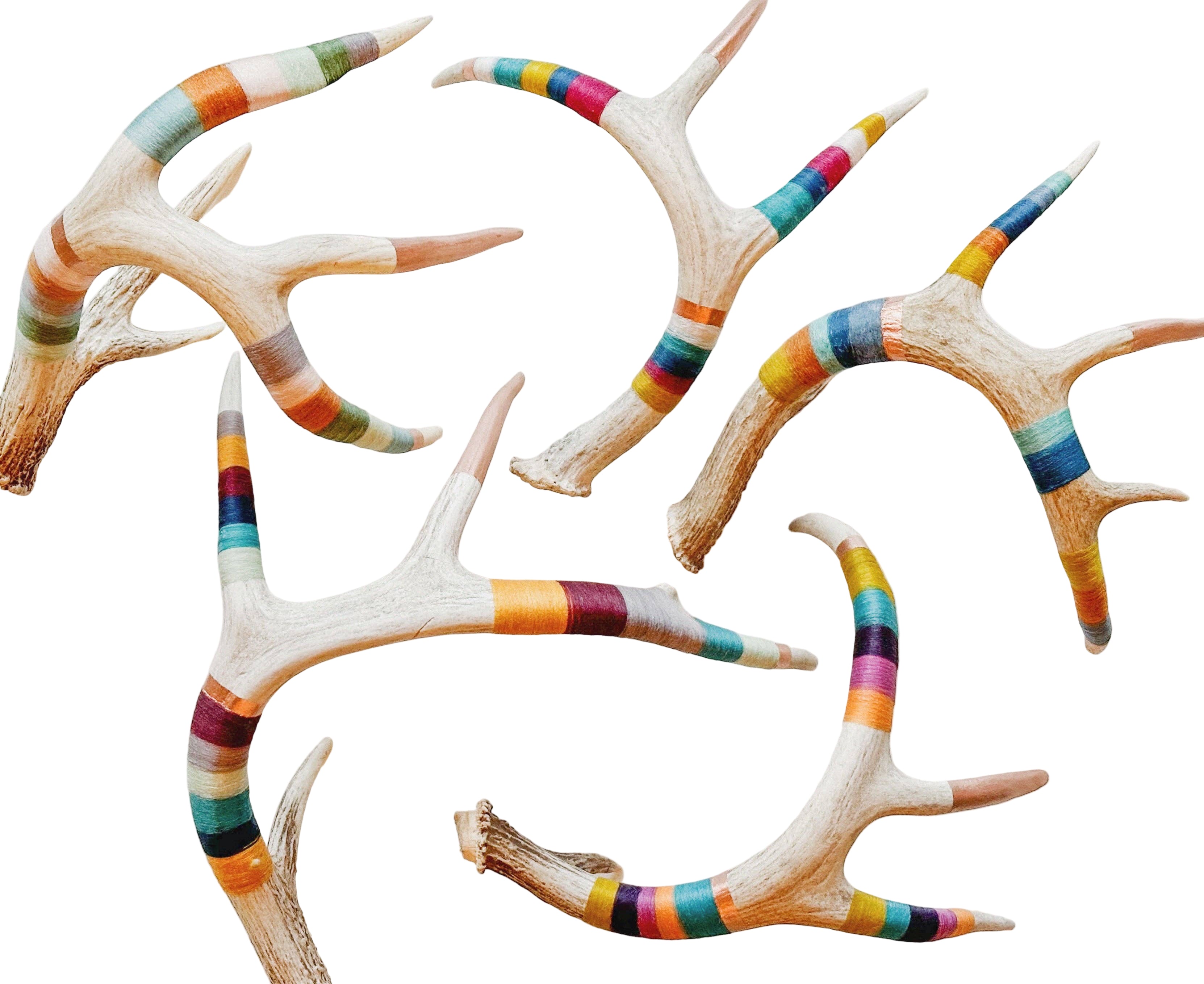 Extra large naturally shed deer antler wrapped in wool and painted copper,placed for sculptural display or comes with leather hanging strap for wall art.