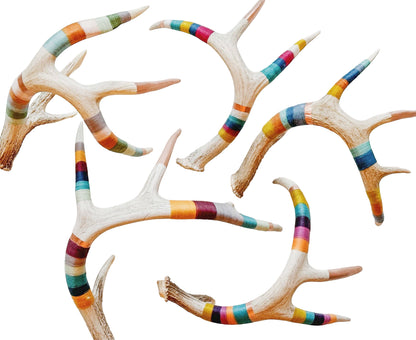 Extra large naturally shed deer antler wrapped in wool and painted copper,placed for sculptural display or comes with leather hanging strap for wall art.