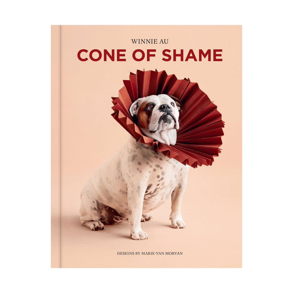 Cone of Shame