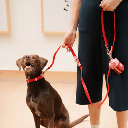 Cherry + Blush Dog Collar
