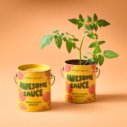 Cherry Tomato Grow Kit