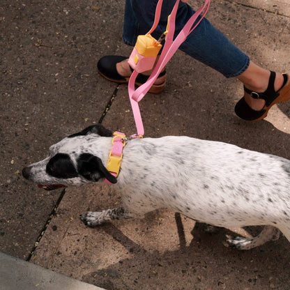 Pink Lemonade Dog Leash