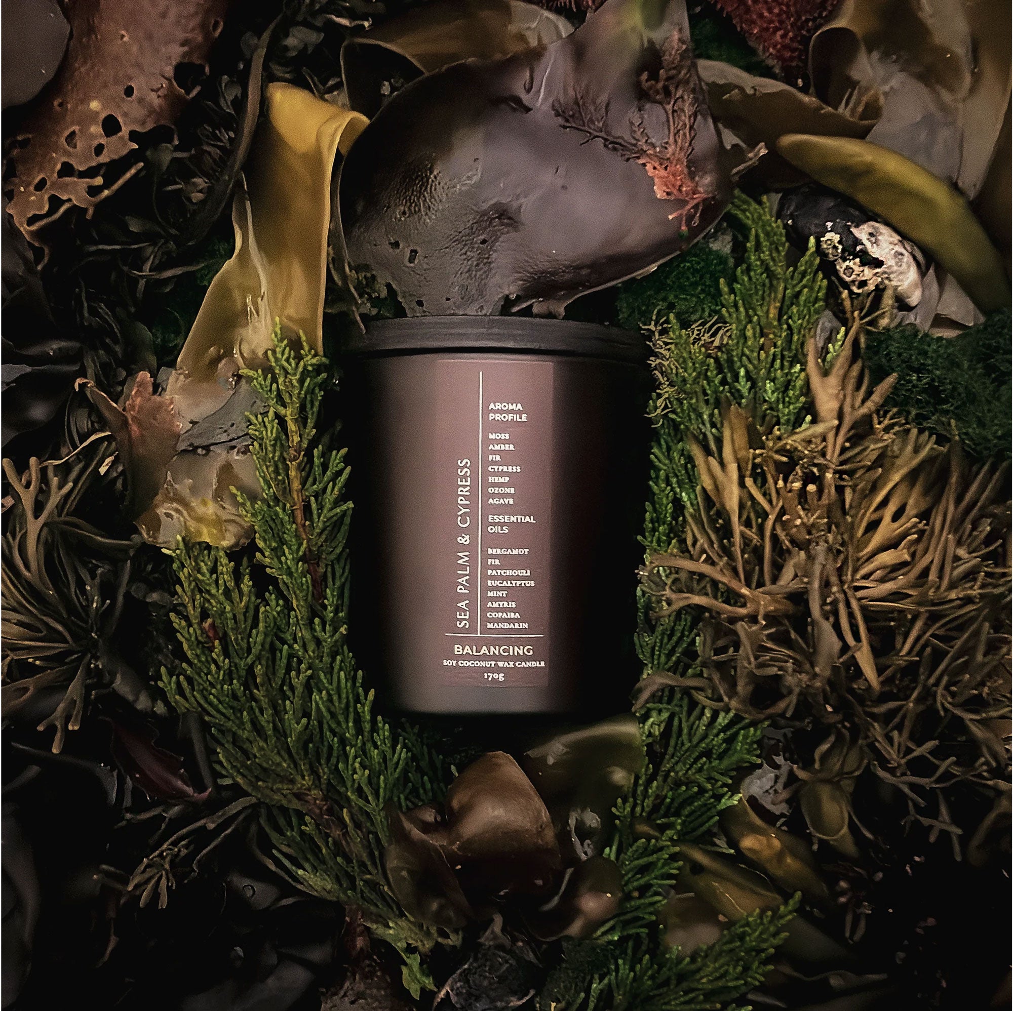 Sea Palm & Cypress Candle