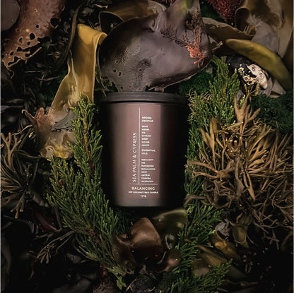 Sea Palm & Cypress Candle