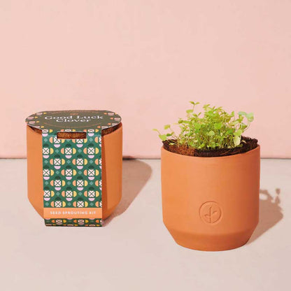 Good Luck Clover Tiny Terracotta Grow Kit