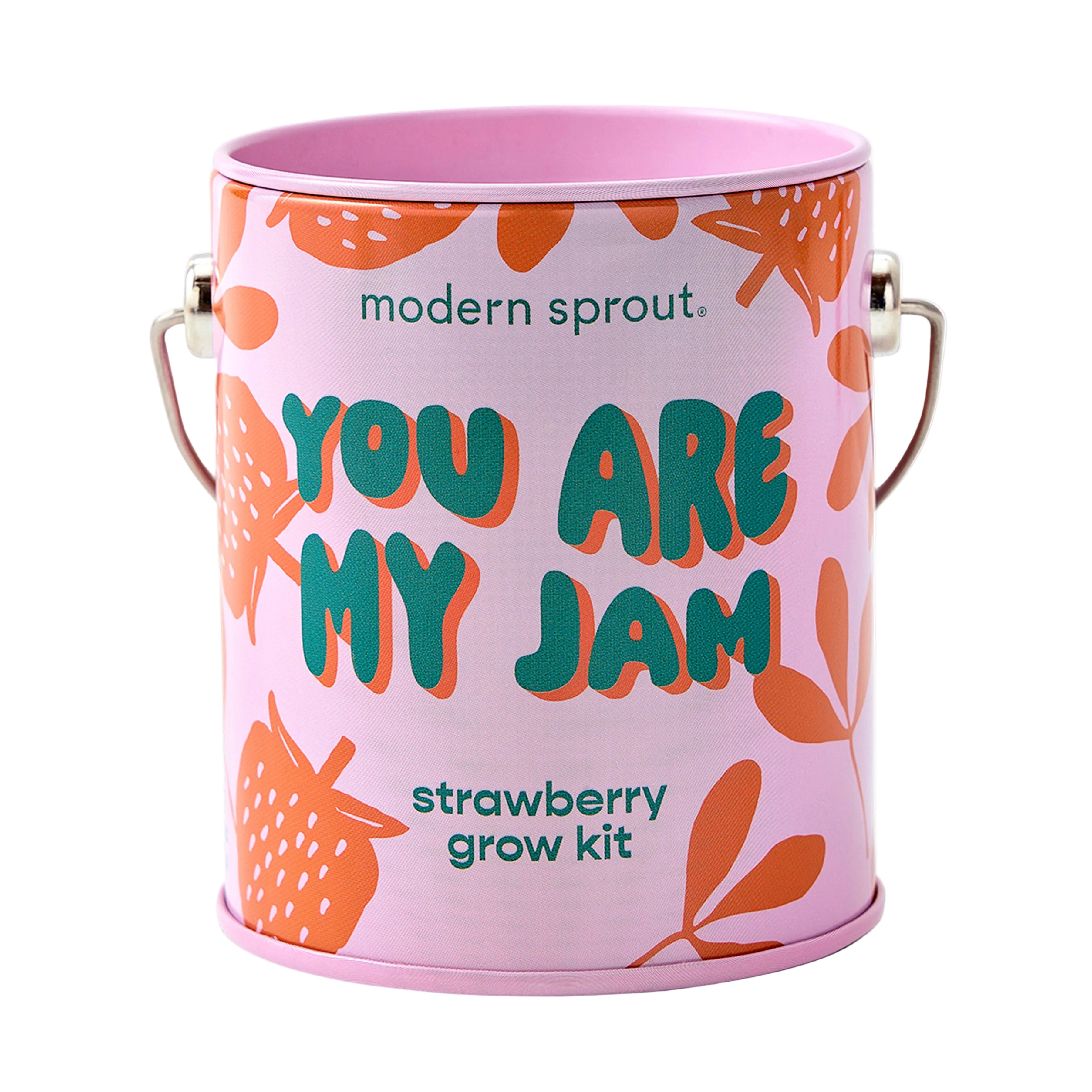 Strawberry Grow Kit