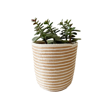 Handwoven Striped Sisal Planter Basket