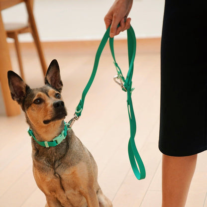 Liberty Green Dog Leash