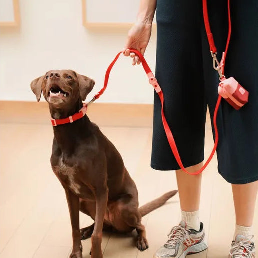 Cherry + Red Dog Leash